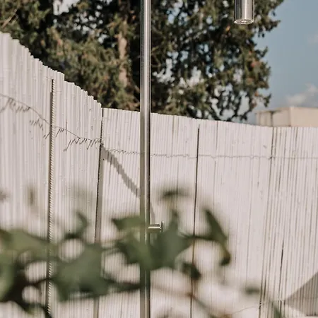 Tessera & Collection *