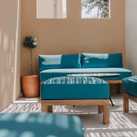 Tessera & Collection