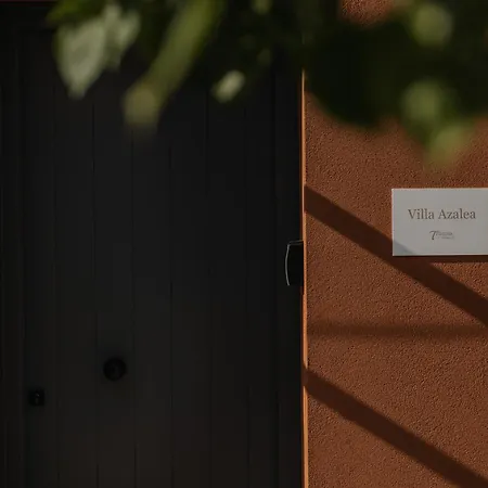 Tessera & Collection *