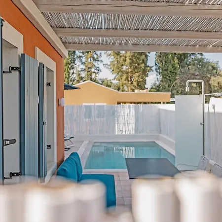 Tessera & Collection